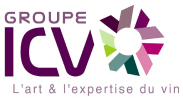 Groupe ICV