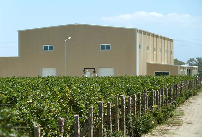 Création cave vinicole Groupe Castel à Ziway en Ethiopie Batiment bureau d’études vinicoles INGEVIN